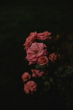 新娘结婚当天伴娘要干嘛 婚礼当天伴娘要做什么？