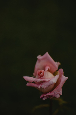 结婚用女方家房子做婚房 结婚住女方家房子利弊