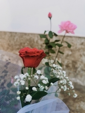 订婚之喜怎么写 订婚之喜怎么祝贺名句