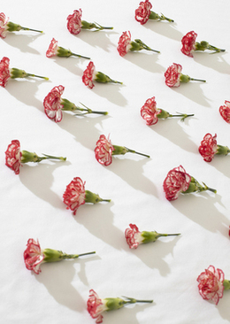 白色婚纱代表什么 结婚穿白色婚纱的寓意是什么？