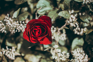 女人多久结婚合适 女人在什么时候结婚最合适