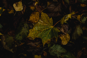 婚礼中傧相团何时入场 傧相团 是什么