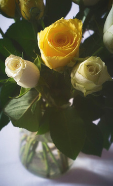 祝福结婚新人怎么说 祝福新人结婚祝福语大全简短