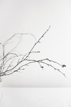 结婚大巴车去哪租 大巴车哪里租?