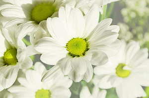 儿子结婚妈妈穿什么衣服好 儿子结婚妈妈穿什么衣服好