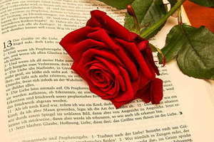 男友说再不结婚就分手 男友说不结婚就分手，怎么办？