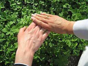 女方请客婚宴邀请函 结婚女方家也摆酒怎么发的邀请函？