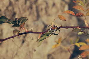 未婚生子上户口需要亲子鉴定吗 未婚生子上户口要亲子鉴定吗