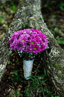 浪漫布置房间图片 怎样把房间布置的浪漫一点，给女友一个惊喜