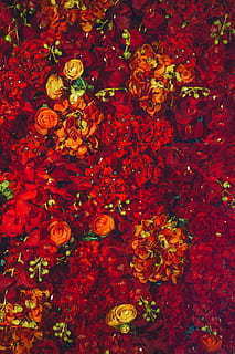 结婚登记选什么日子最好 结婚登记选日子,有什么讲究吗?