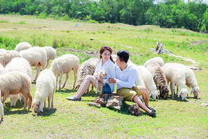 冬天答谢宴主持人穿什么