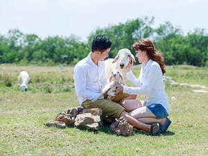 北京彩礼一般给多少2021 彩礼法律规定2021彩礼最多给多少