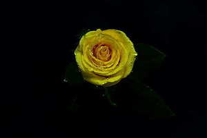 参加婚礼可以穿花色衣服吗