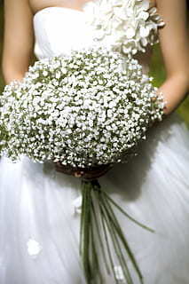 宝马五系干婚庆怎么样 宝马五系当婚车一个月收入是多少