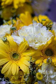 微信上怎么制作生日请帖 微信请帖怎么做