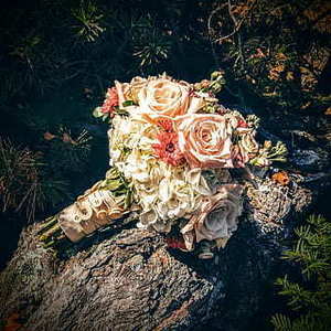 女方结婚日子怎么选 结婚如何选日子