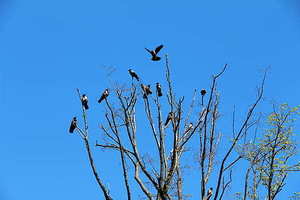 有创意的结婚堵门游戏 创意结婚接亲堵门游戏有哪些