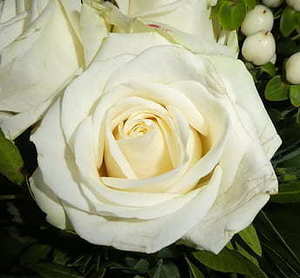 牵新娘进门该怎么说 牵新娘进门说什么好呢