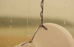 结婚新娘手里拿什么花 结婚新娘手里拿的花叫什么花