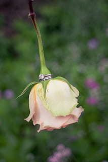 乔迁之喜送什么礼物好 乔迁之喜送什么礼物好？