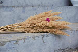 姐姐结婚送什么礼物最好 亲姐姐结婚送什么礼物最好？