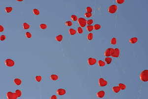 参加婚礼说恭喜 参加婚礼者向主人恭喜主人怎样回答?