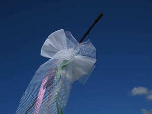 公司互送礼物送什么好