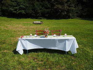 扎花车用什么固定 婚车扎花用什么固定