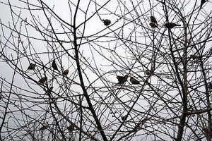 二婚领取结婚证需要带什么材料