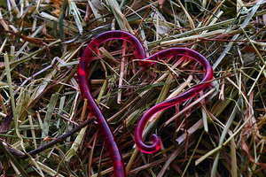 婚礼男士西装穿什么颜色好看 男士结婚穿的西服什么颜色好看？