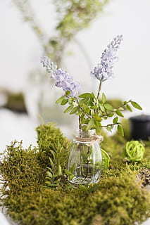 结婚的标准是什么样的 结婚对象的选择标准是什么呢？