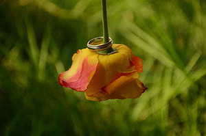 订婚戒指是婚戒吗 订婚买的戒指是婚戒吗