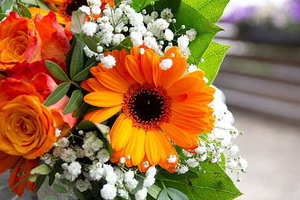 情况说明怎么写 情况说明怎么写?