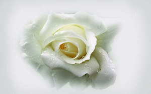 哪里可以做电子请帖