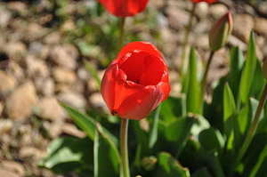 暖贴能用多长时间 一袋暖足贴能用多长时间