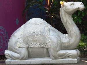 主婚车用什么花 婚车装饰一般用什么花