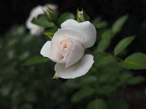 适合接亲时玩的游戏 婚礼当天好玩的接亲游戏 婚礼游戏有哪些