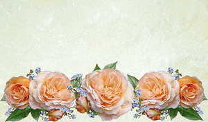 在深圳闺蜜结婚随礼多少钱 闺蜜结婚随礼多少钱合适？