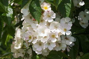 结婚需要多少预算 结婚需要多少钱