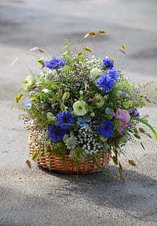 酒席上的点心有哪些 中餐宴席每席至少有几道点心？