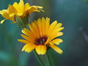 香槟塔多少钱 香槟塔价格