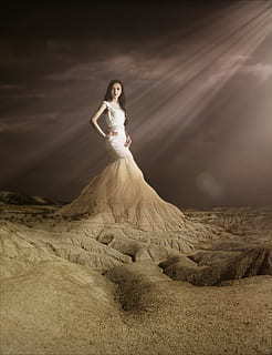 结婚用的带鱼的喜蛋糕 结婚用的点心要买哪些