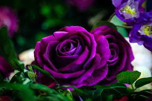 儿子结婚请客桌数怎么计算 结婚请客桌数计算公式