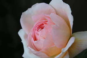 写请柬要写称呼吗 请帖称呼怎么写?有什么格式