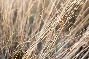 婚礼上要说的话 新娘在婚礼上需要说些什么话语么