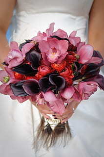 非常要好朋友结婚祝福的话 非常要好朋友结婚祝福的话