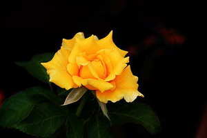 在长沙酒店办婚礼需要多少钱 在酒店办一个婚礼大概需要多少钱?