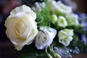 婚纱下面可以穿运动鞋吗 拍婚纱照真的可以穿运动鞋吗