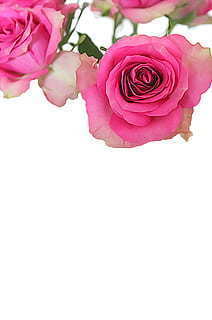 当主持人应该注意什么 主持人应注意什么