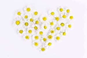 送父母的礼物实用型 送父母的礼物实用型，该送什么好